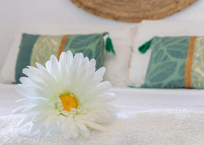 Vistamarina B201 By Ivi Real Estate